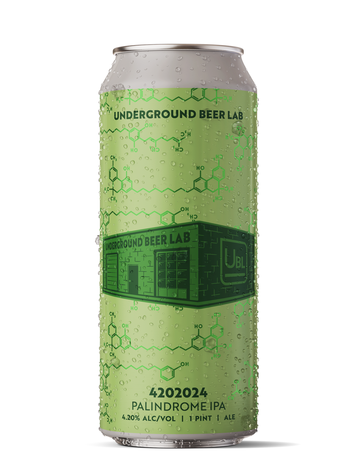 4202024 Palindrome IPA