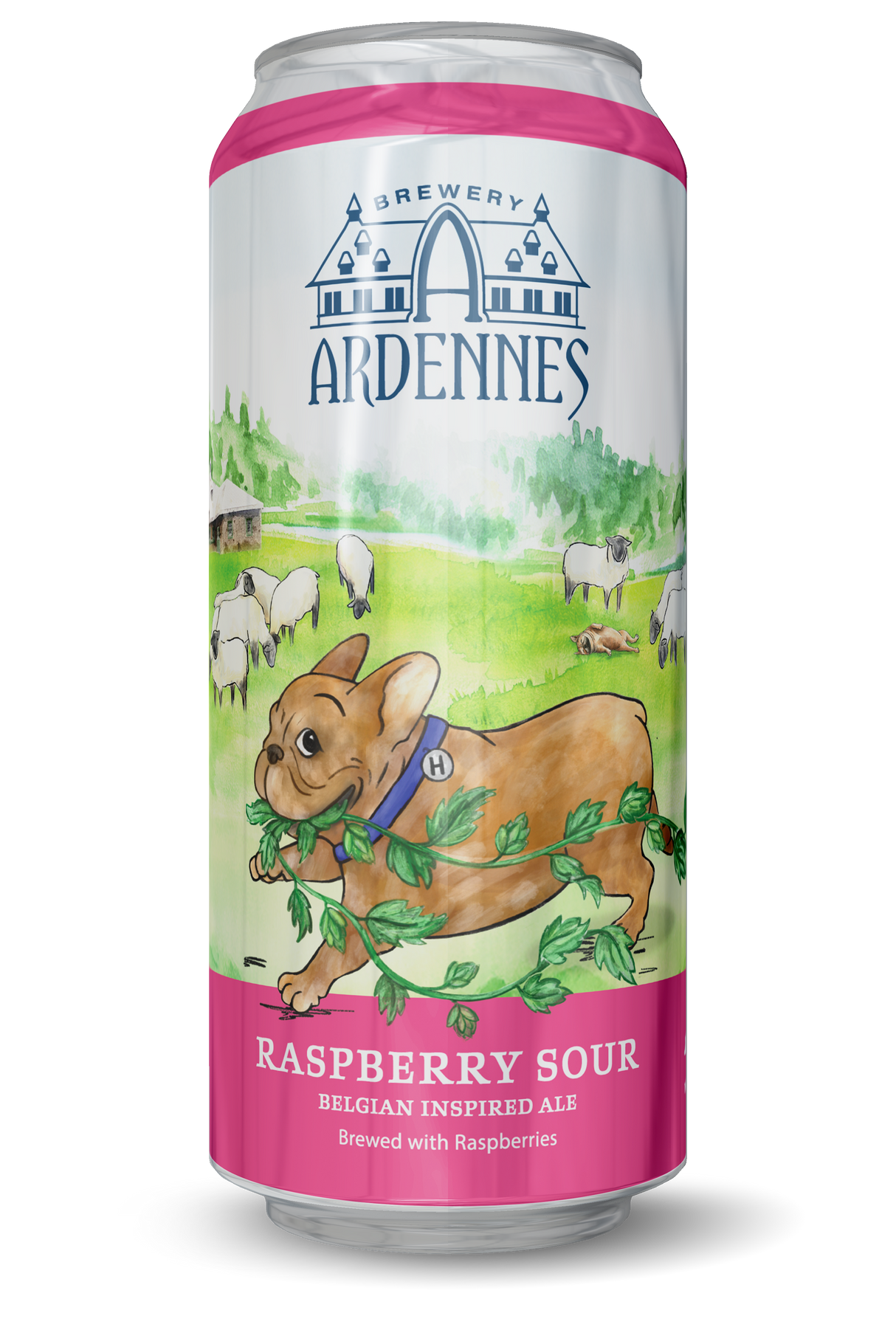 Belgian Raspberry Sour