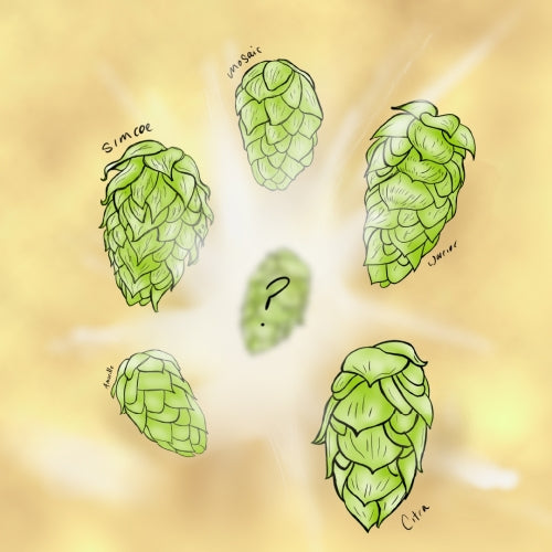 Hop Flash