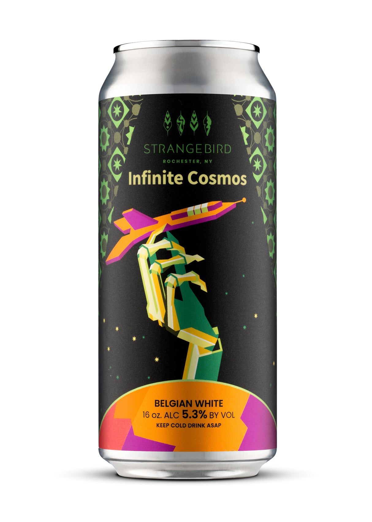 Infinite Cosmos
