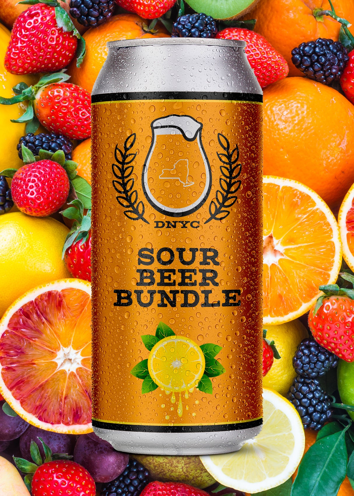 Sour Beer Bundle