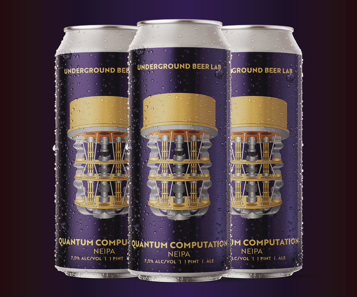Quantum Computation NEIPA