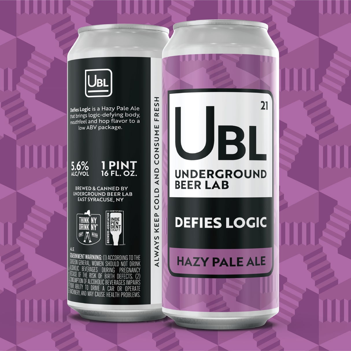 Defies Logic Hazy Pale Ale