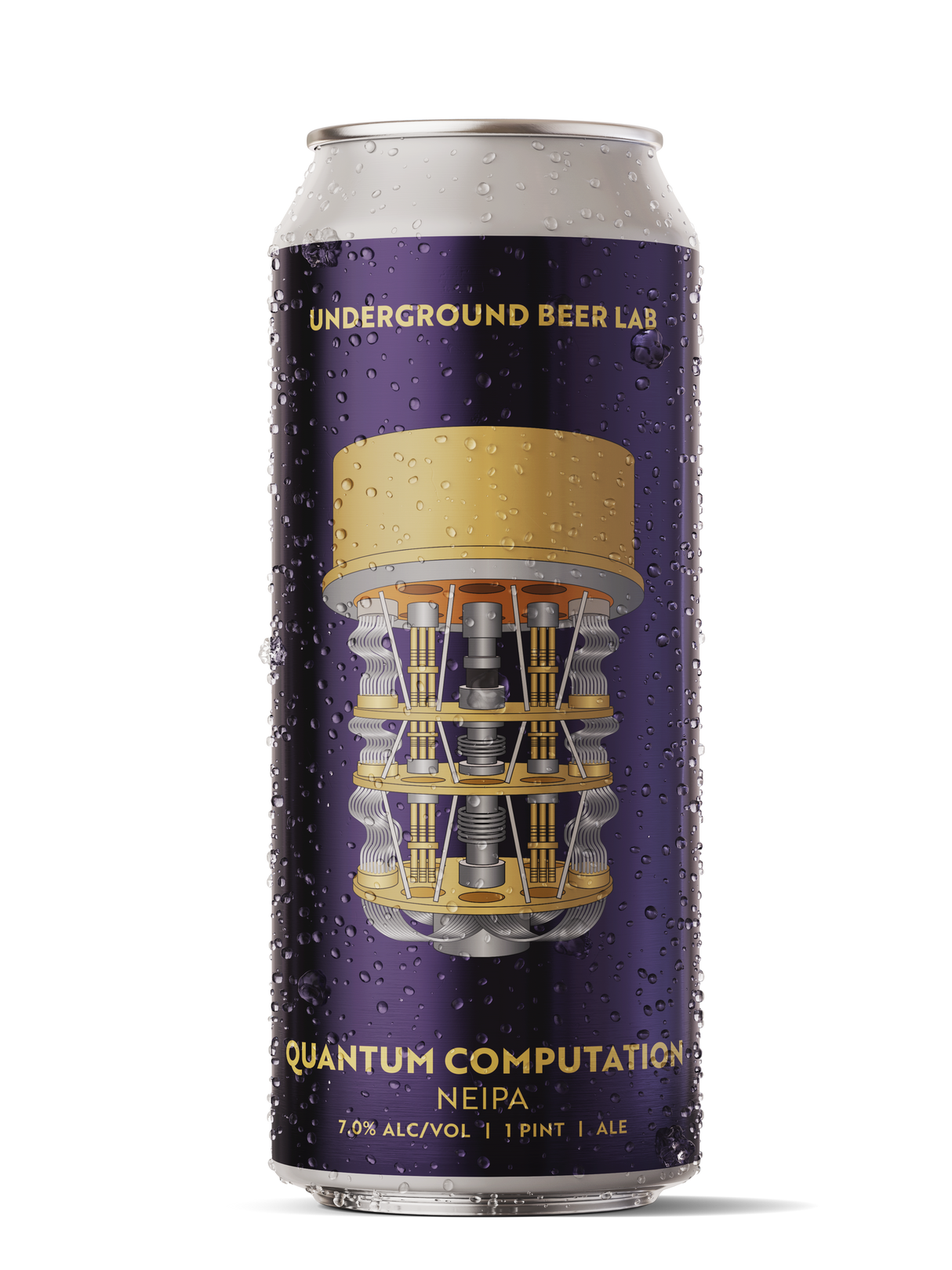 Quantum Computation NEIPA