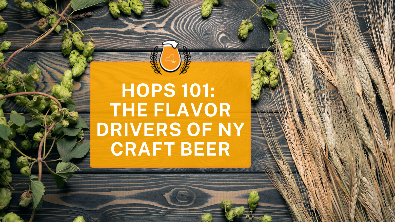 Hops 101: The Flavor Drivers of NY Craft Beer
