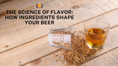 The Science of Flavor: How Ingredients and Processes Shape Your Beer