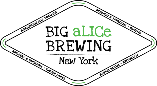 Big aLICe 24-Pack Case - Quarterly Subscription