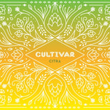 Cultivar: Citra