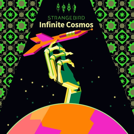 Infinite Cosmos