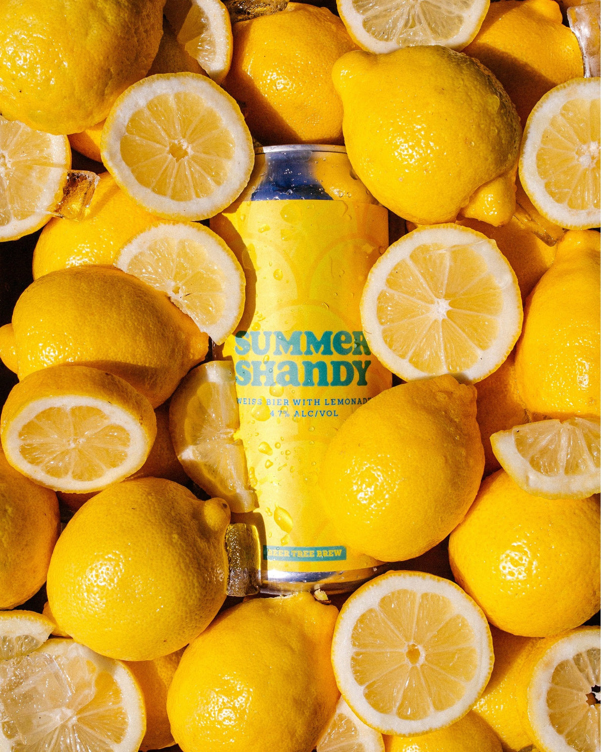Summer Shandy
