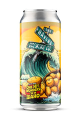 One Hit Wonders the IPA Series: I'm In Idaho