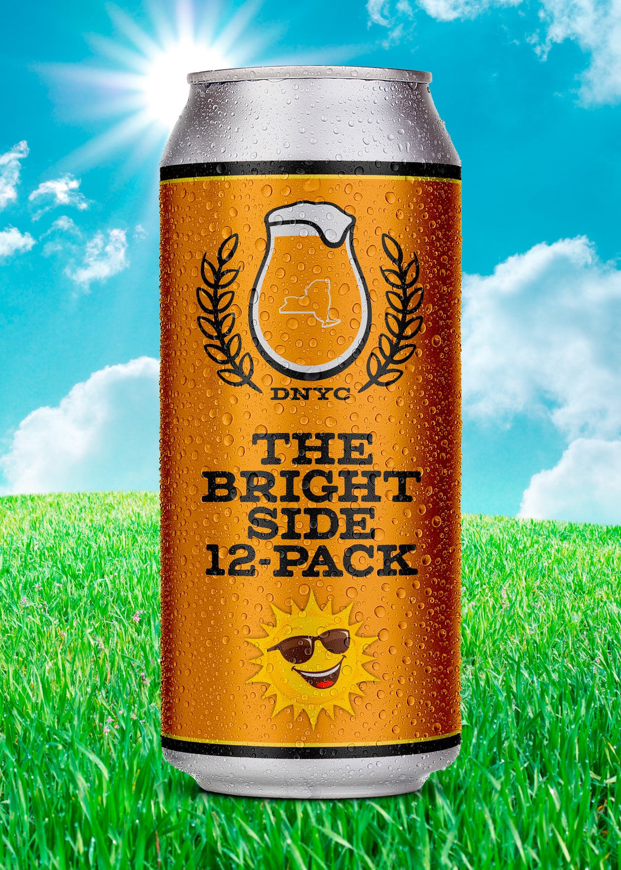 The Bright Side 12-pack