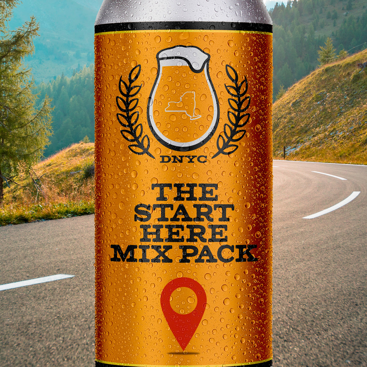 Start Here 12-Pack Bundle – Drink NY Craft