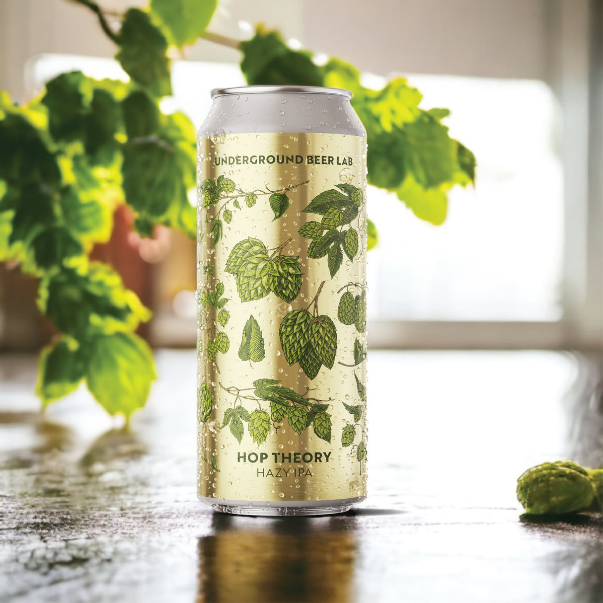 Hop Theory Hazy IPA