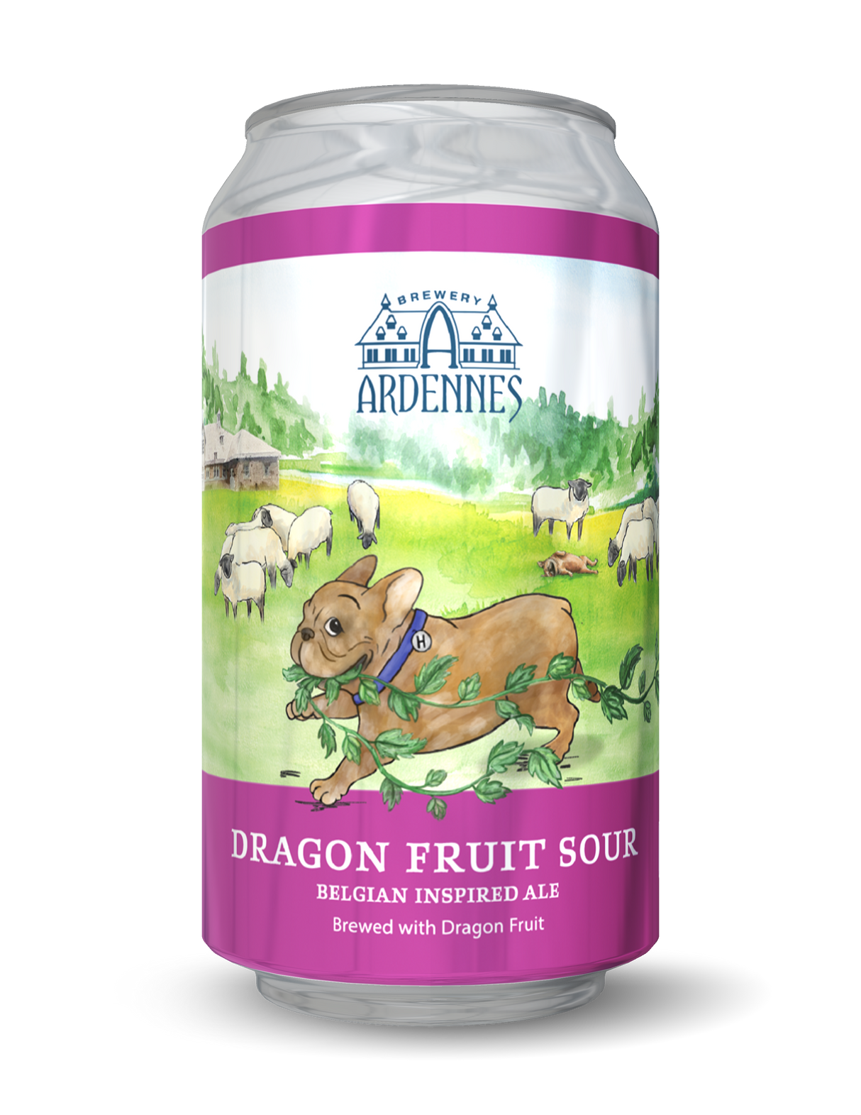Dragon Fruit Sour